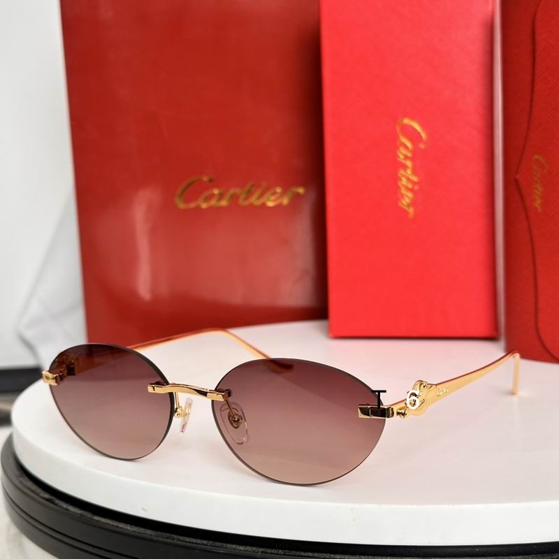 Cartier CT0504S 58 18-135 e