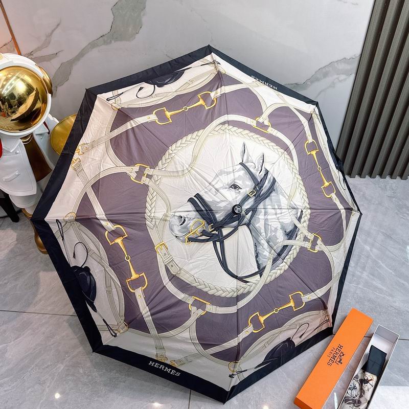Hermes Umbrella 08