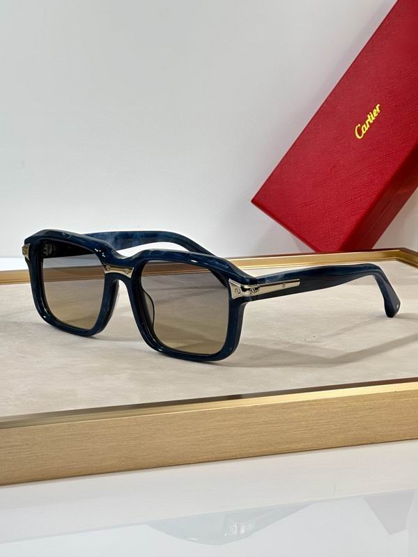 Cartier Glasses smh41