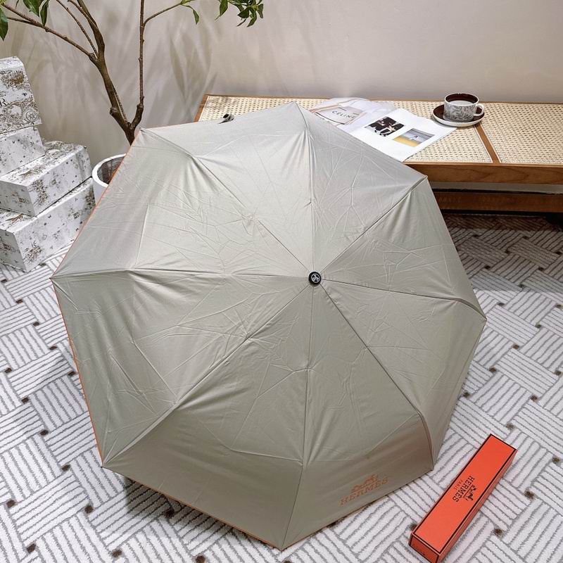 Hermes Umbrella hm21