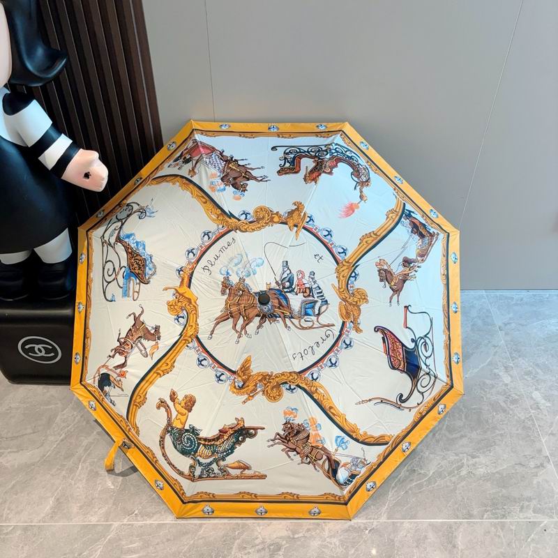Hermes Umbrella hm35