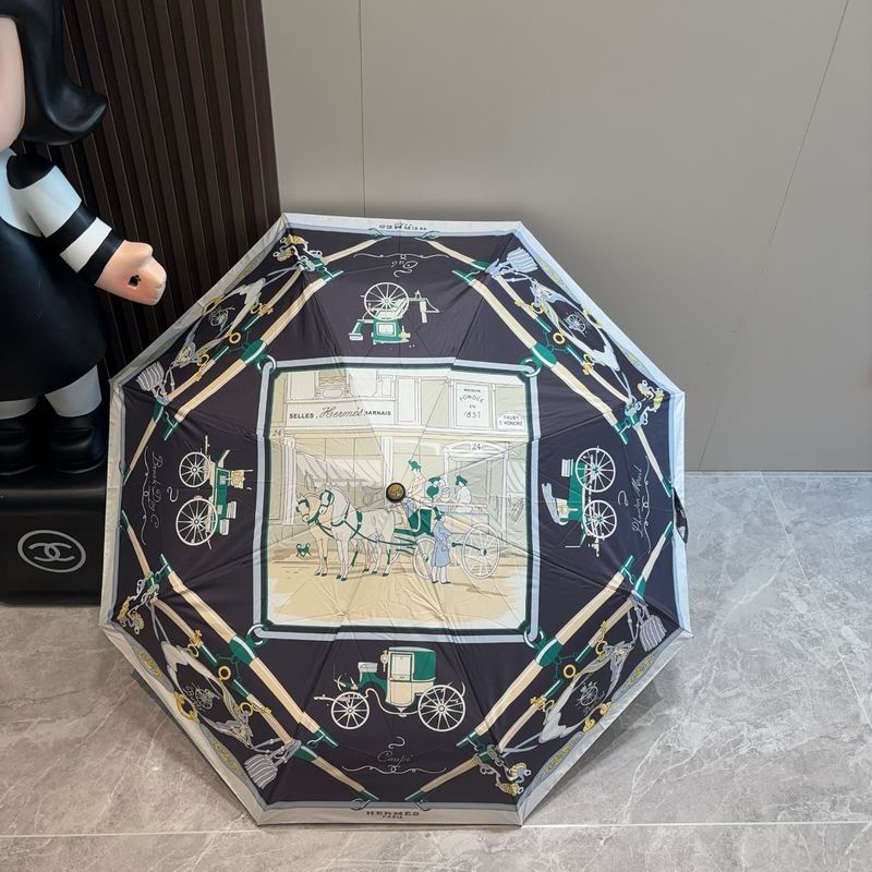 Hermes Umbrella 43