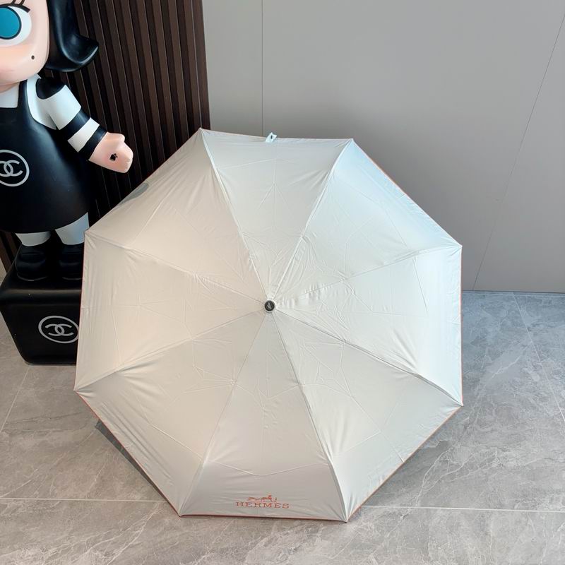 Hermes Umbrella 59