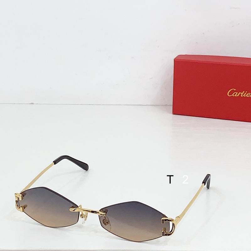 Cartier CT8100359 48 27-135 b