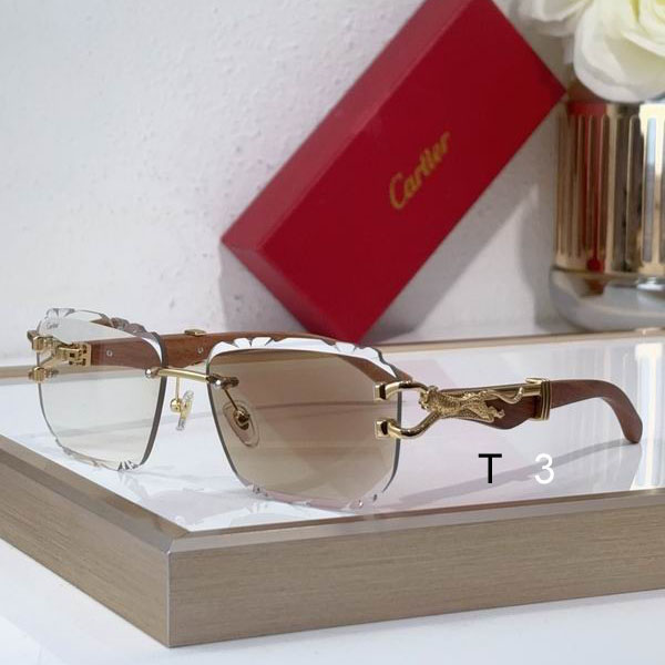 Cartier CT0593S 135 C