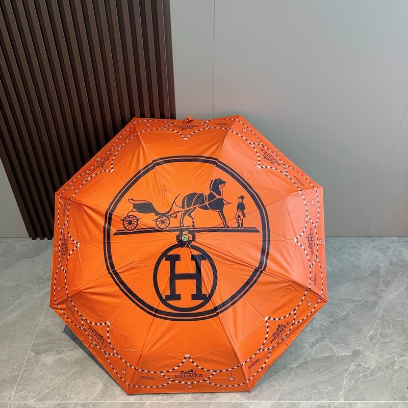 Hermes Umbrella 79