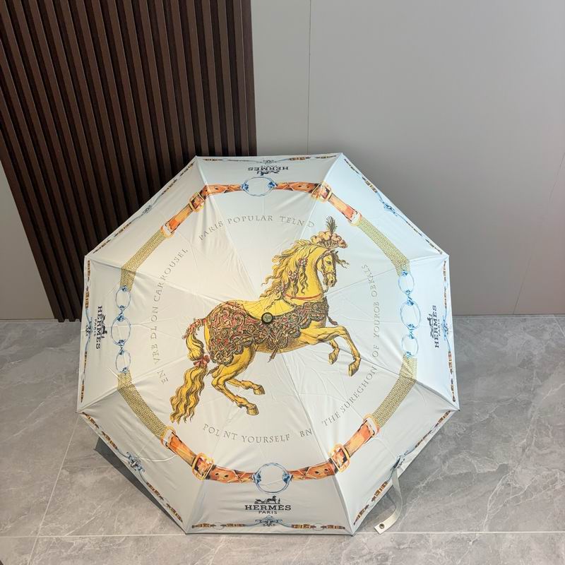 Hermes Umbrella 80