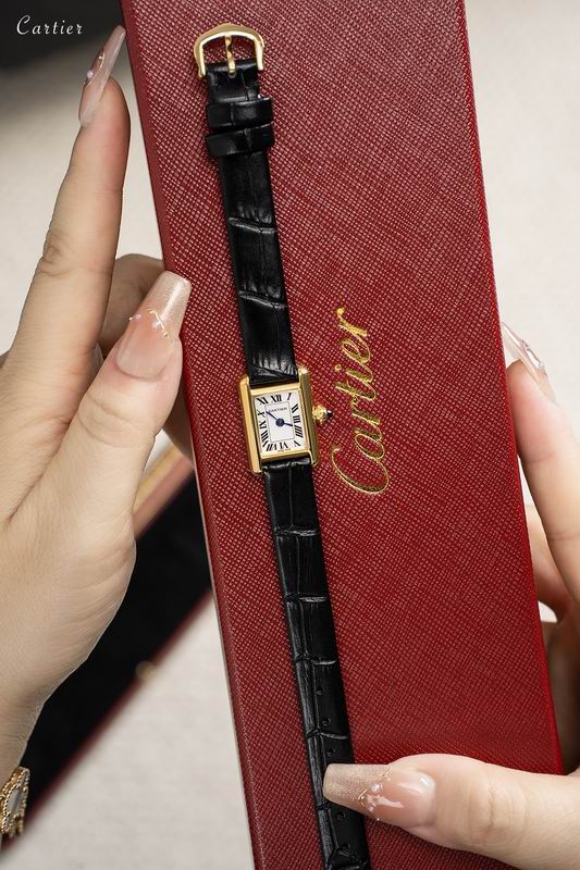 Cartier 16.5X24mm 041686