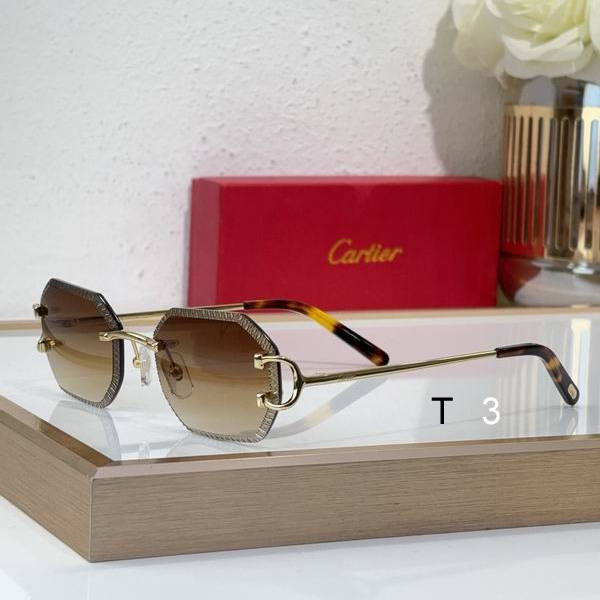 Cartier CT0092O 55 18-135 C