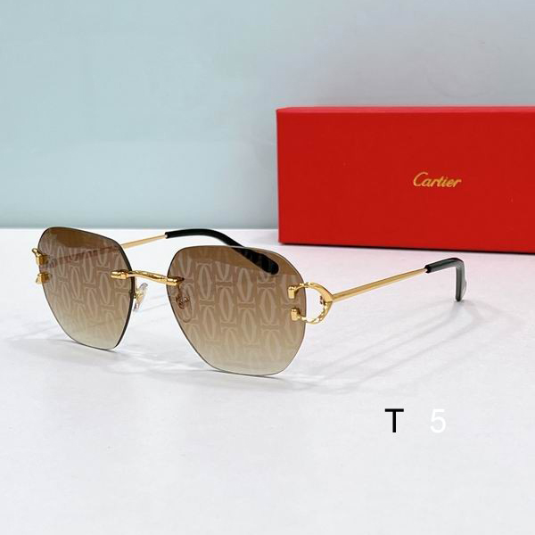 Cartier CT0394S 58 17-145 F