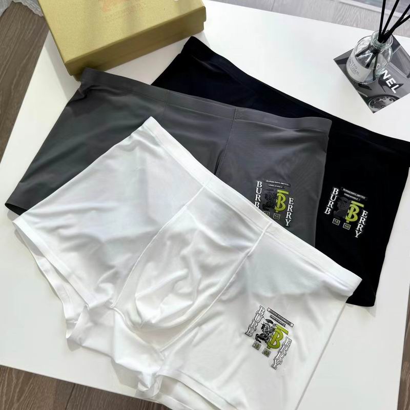 Burberry boxer L-3XL 051806