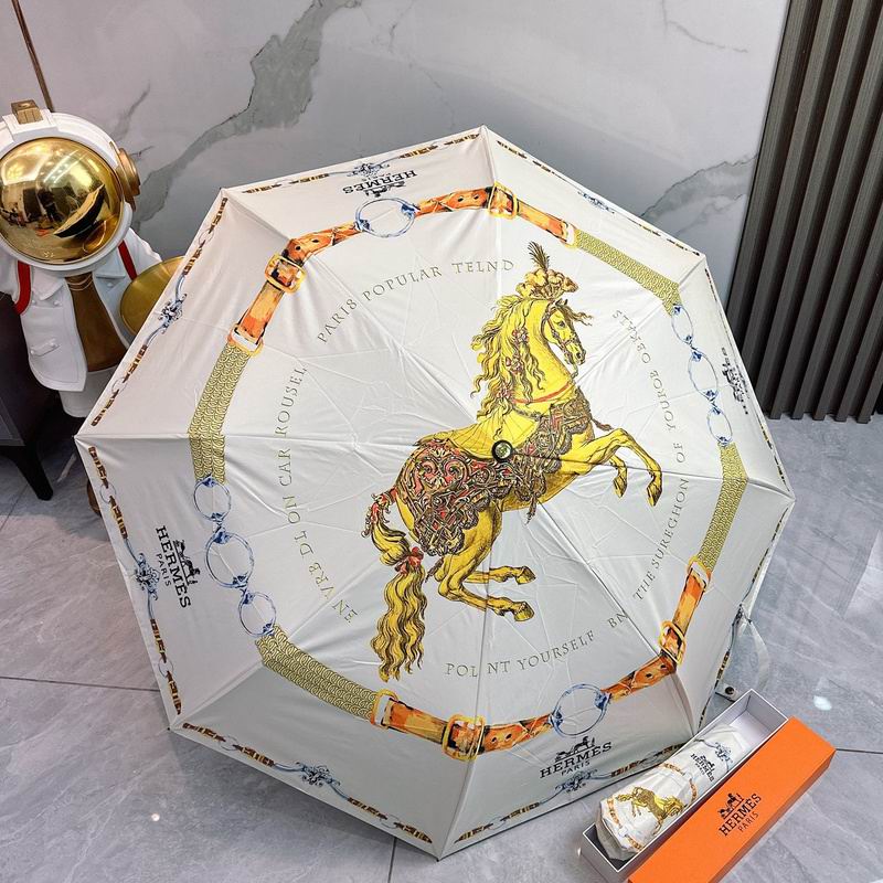Hermes Umbrella hm91