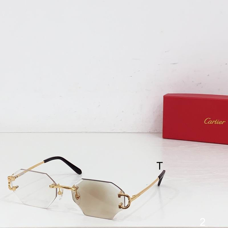 Cartier CT162O 56 17 135 b