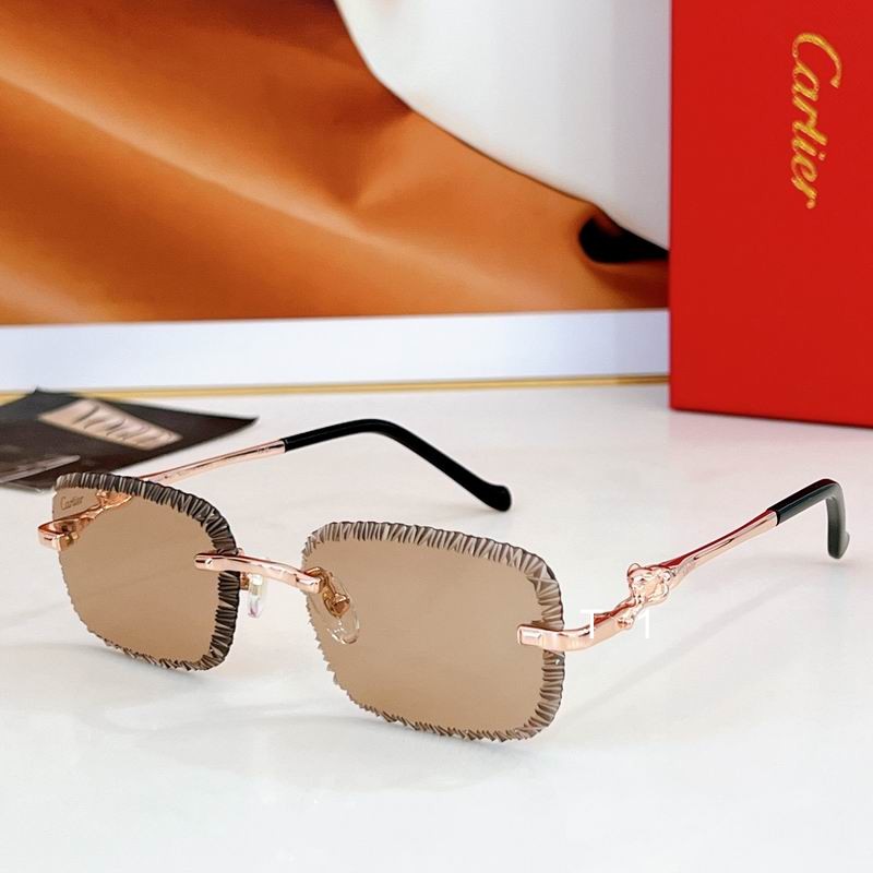 Cartier CT08262 59 17-140 a