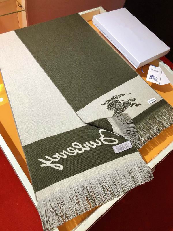 Burberry Scarf