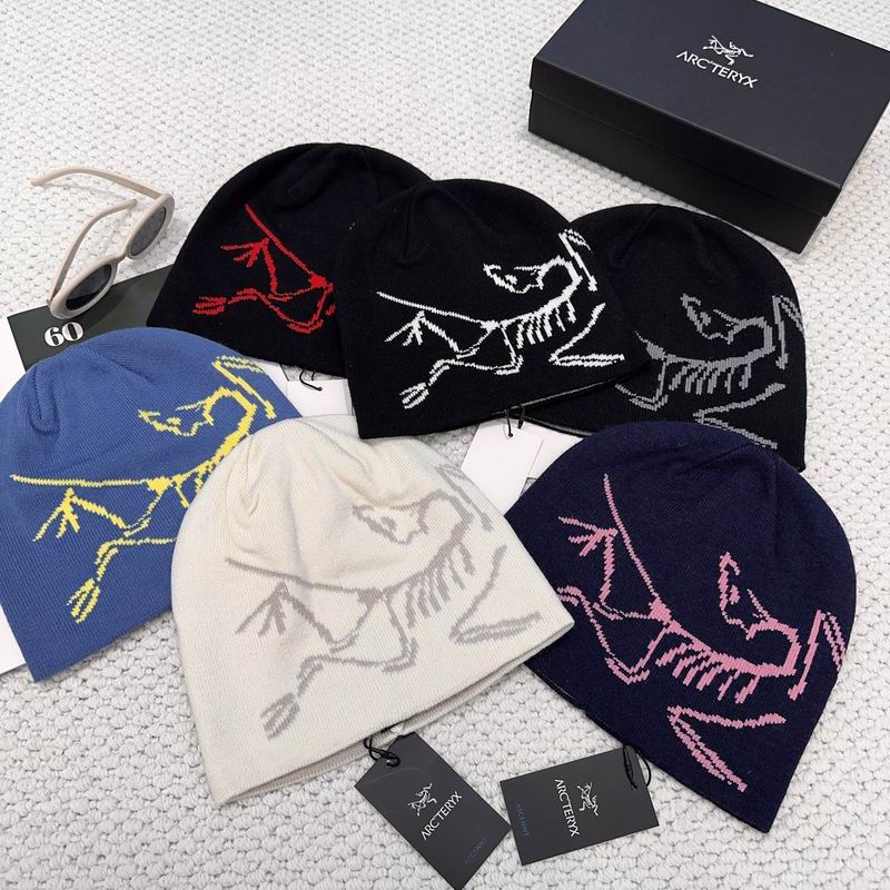 26 Arcteryx hat 0103