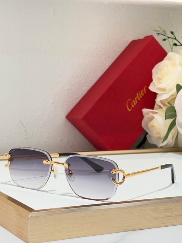 Cartier Glasses 08smh180