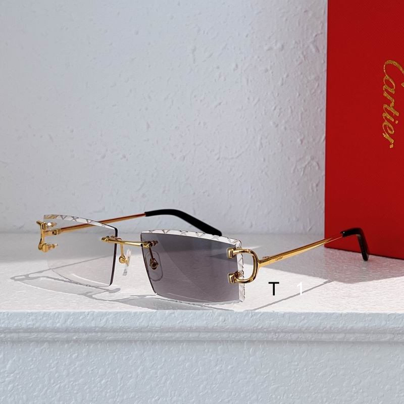 Cartier CT0103O 55 18-135 a