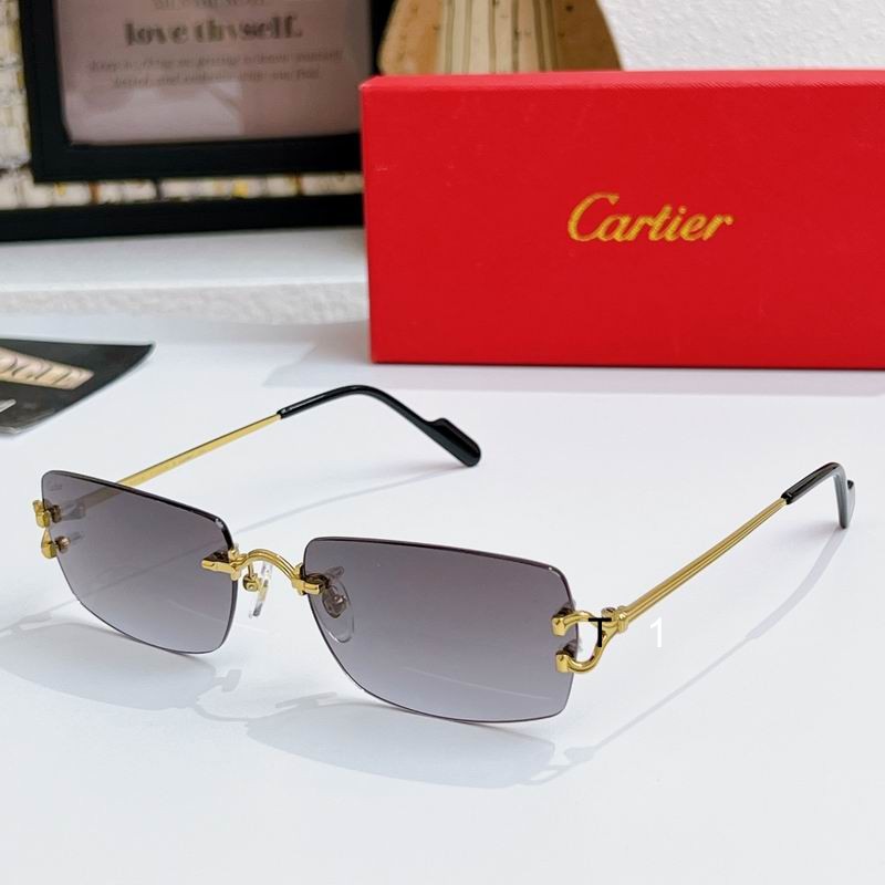 Cartier CT0434S 54 23-130 a