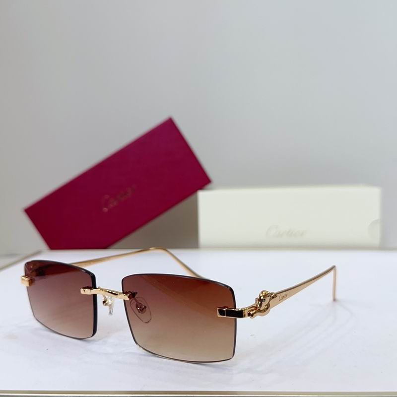 Cartier CT0552S 55 22-135 G