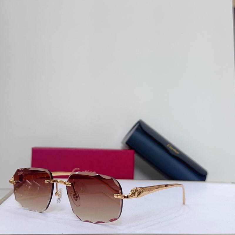 Cartier CT9722O 56�C17-130 g