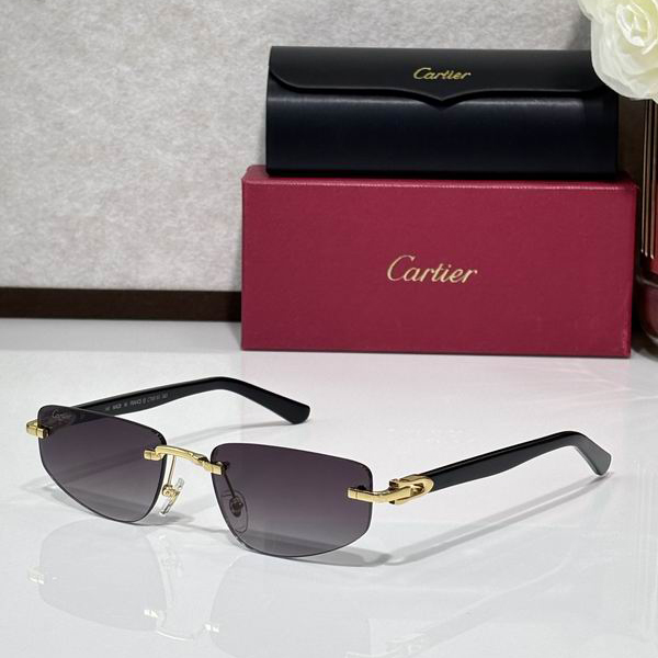 Cartier CT0818S 145 c