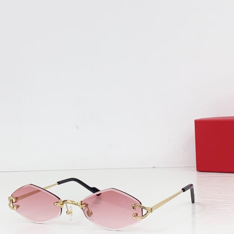 Cartier CT0556S 59 17-143 b