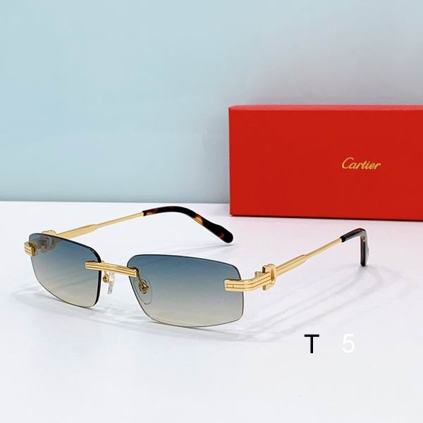 Cartier CT0535S 57 17-145 D