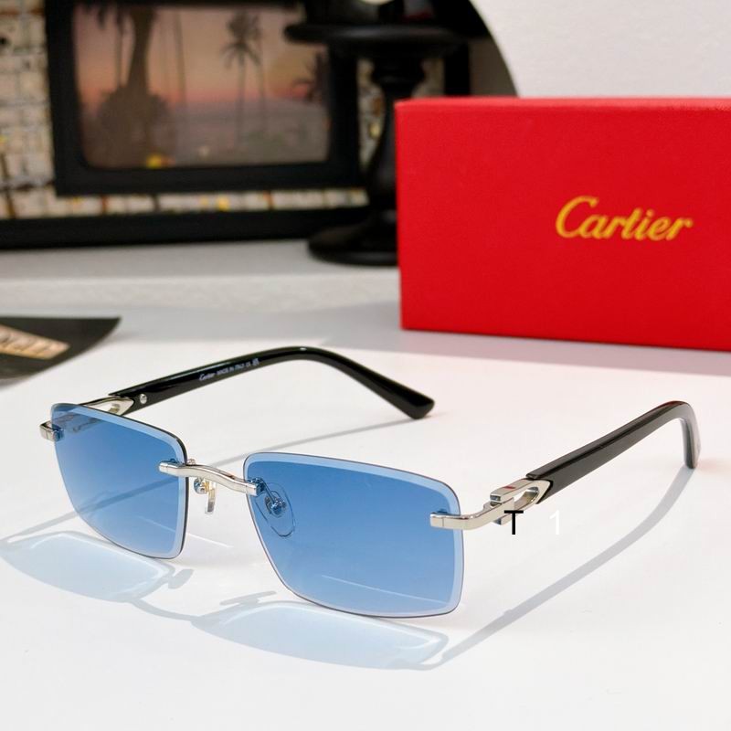 Cartier CT0582S 56 19-145 a