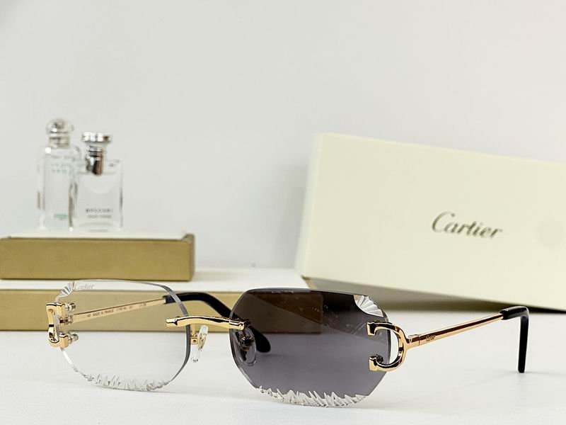 Cartier Glasses smr321