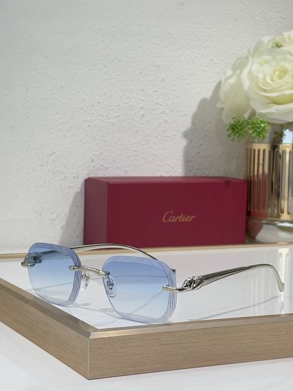 Cartier Glasses smr352