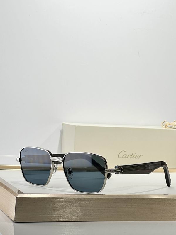 Cartier Glasses smr421