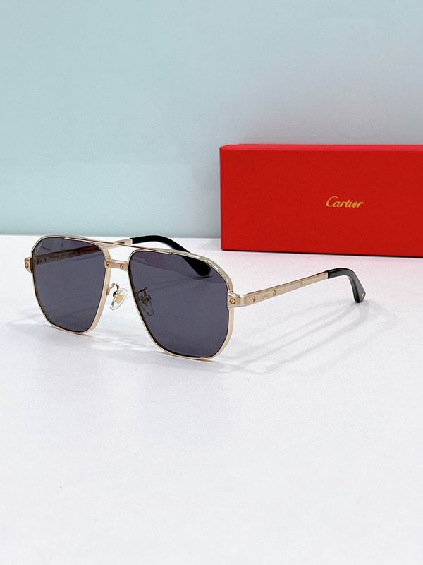 Cartier Glasses smr427
