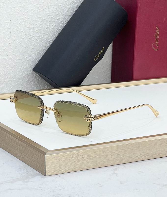 Cartier Glasses smr502