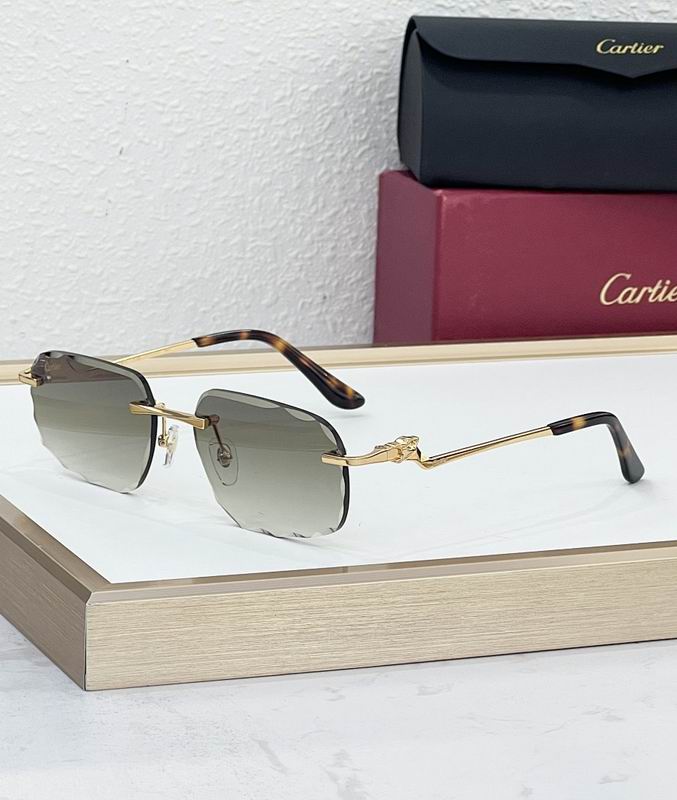 Cartier Glasses smr504