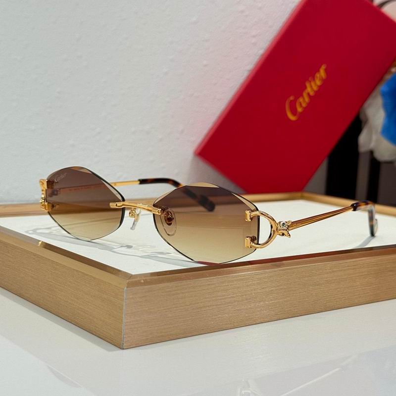 Cartier Glasses smr511