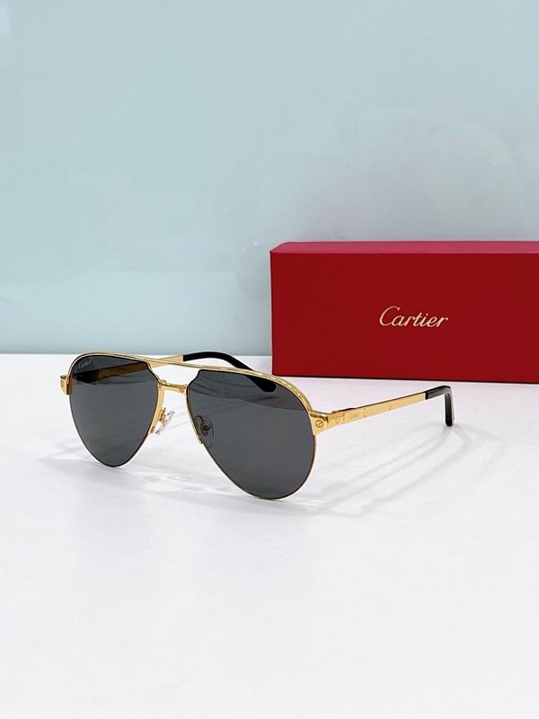 Cartier Glasses smr521