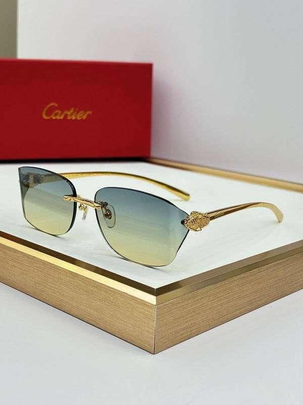 Cartier Glasses smr524
