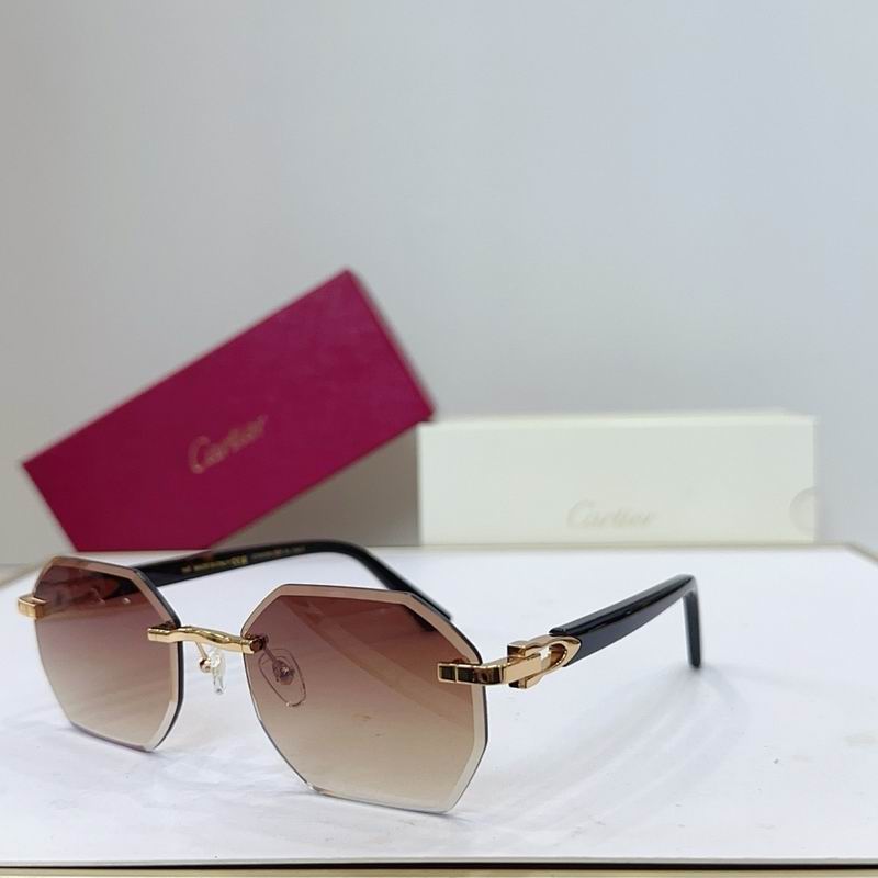 Cartier Glasses smr525