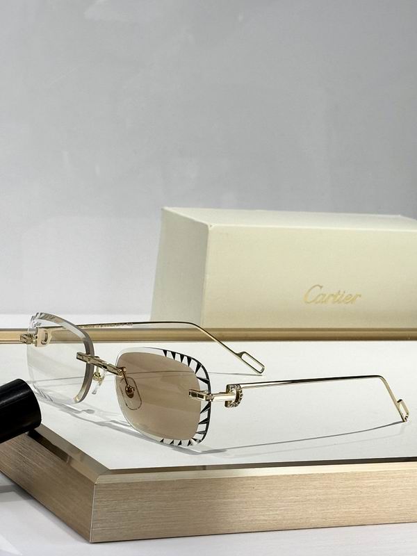Cartier Glasses smr559