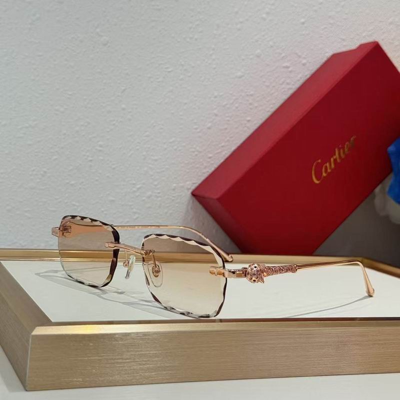 Cartier Glasses smr560