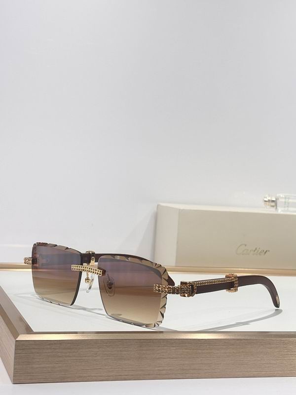 Cartier Glasses smr572