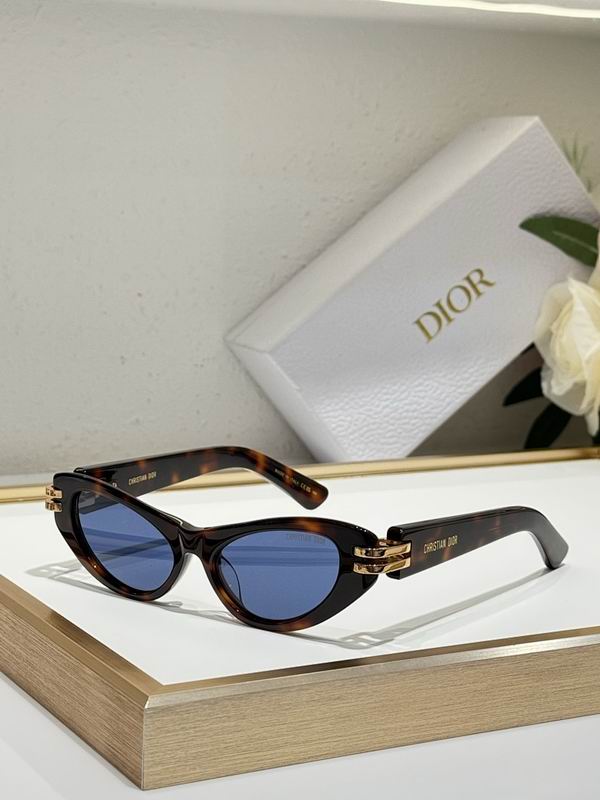 Dior Glasses smr95
