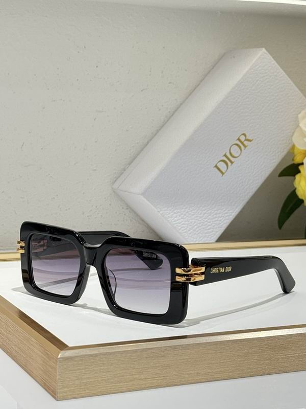 Dior Glasses smr109