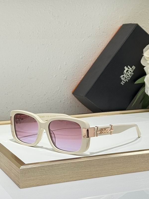 Hermes Glasses smr28